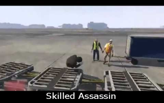 Skilled Assassin